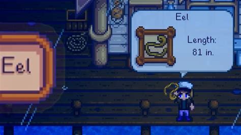 Here are some strategies to maximize your chances of catching it Head down to the Mines during a Lucky day. . How to get eels in stardew valley
